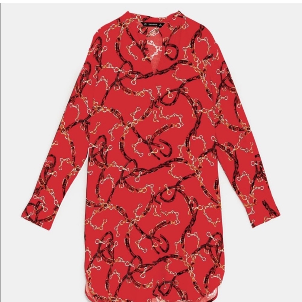 Zara | Dress | Shirt Dress - Picture 9 of 16